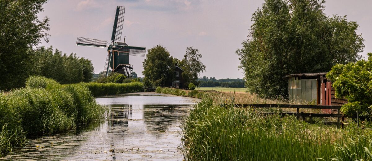 Nieuwe leden gezocht